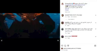 السداد | أحمد الفيشاوي يهنئ أحمد عز وكريم عبد العزيز على عرض فيلم "7 Dogs"