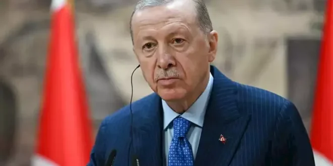 السداد | أردوغان لـ ترامب: حل القضايا الخلافية بين أمريكا وإيران ممكن