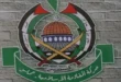 السداد | أمريكا: تطبيق خطة ترامب للسلام يقتضي نزع سلاح حماس