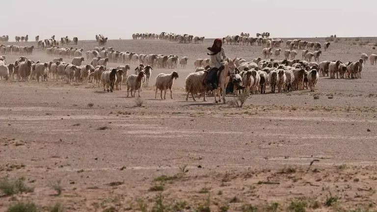 السداد | استُخدمت في حرب إيران.. نيويورك تايمز: اكتشاف قاعدة إسرائيلية ثانية بالعراق