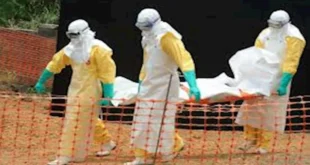 السداد | الصحة العالمية: تفشي إيبولا مرتفع وسط إفريقيا لكنه منخفض على صعيد العالم