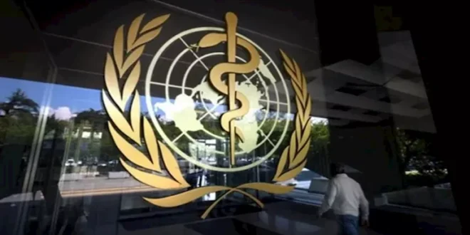 السداد | الصحة العالمية تُطمئن العالم بشأن تفشي فيروس هانتا.. ماذا قالت؟