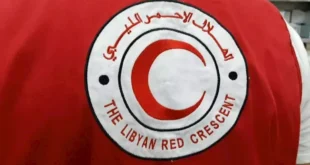 السداد | الهلال الأحمر الليبي لـ"مصراوي": مستعدون لاستلام المساعدات الإنسانية لغزة بالتنسيق مع مصر