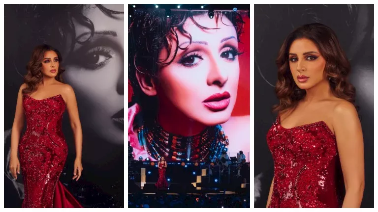 السداد | بالصور.. أنغام تحتفل بمرور 25 سنة على أغنية سيدي وصالك