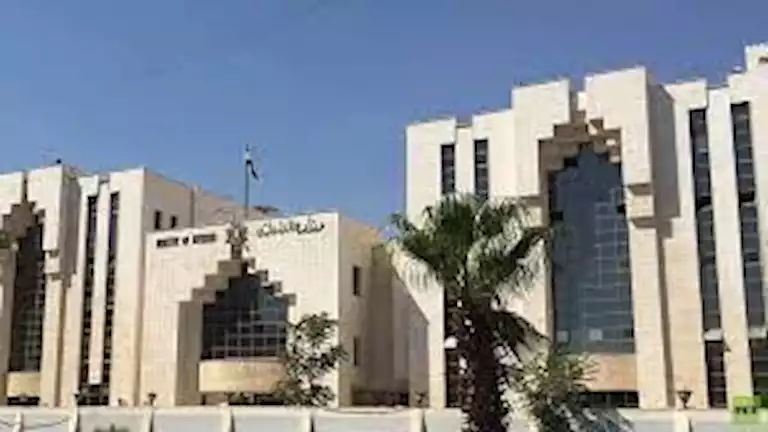السداد | بعد 13 عامًا.. الداخلية السورية تكشف تطورات جديدة بشأن أطفال رانيا العباسي 