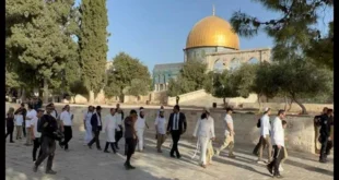 السداد | عشرات المستوطنين يقتحمون المسجد الأقصى ويؤدون طقوسا تلمودية في باحاته (فيديو)