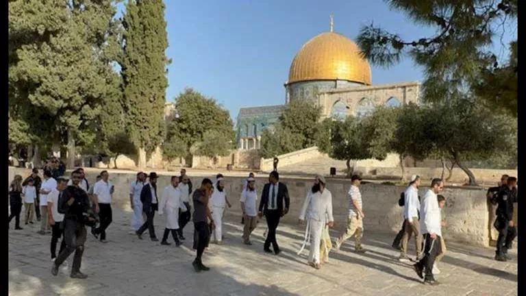 السداد | عشرات المستوطنين يقتحمون المسجد الأقصى ويؤدون طقوسا تلمودية في باحاته (فيديو)