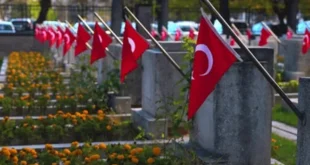 السداد | فيديو صادم | العثور على 21 جنينًا بشريًا في حاوية نفايات بمقبرة تركية