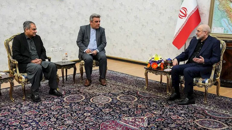 السداد | قاليباف لـ"وزير داخلية باكستان": الوجود الأمريكي بالمنطقة سبب انعدام الأمن