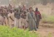 السداد | محمد دياب يعلق على اتهام فيلم أسد بدعم الأفروسنتريك- ماذا قال؟