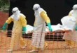 السداد | مدير منظمة الصحة العالمية: "قلق بشدة" من حجم وسرعة تفشي وباء إيبولا في الكونغو
