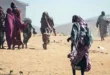 السداد | من الفاشر إلى تشاد.. روايات الناجين من إعدامات "الدعم السريع"