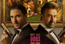 السداد | إيرادات الأربعاء.. فيلم 7Dogs الأول وفيلم القصص في المركز الأخير
