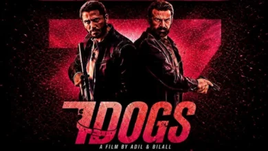 السداد | إيرادات الجمعة.. فيلم الكراش يتفوق على فيلم أسد ويحتل المركز الرابع