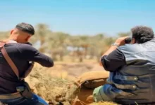 السداد | التفاصيل الكاملة لفيلم "صقر وكناريا" قبل طرحه بالسينمات