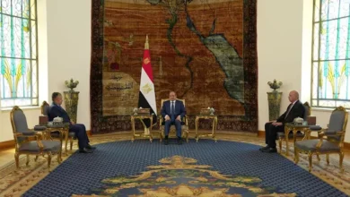 السداد | السيسى يستقبل نبيل فهمى المرشح لمنصب أمين عام الجامعة العربية ويؤكد دعم مصر الكامل