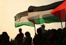 السداد | بدء اجتماع الفصائل الفلسطينية في القاهرة.. والوسطاء من مصر وقطر وتركيا