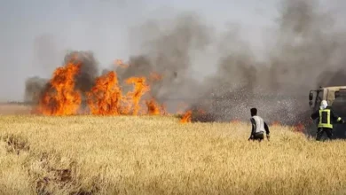 السداد | حريق ضخم يلتهم مساحات زراعية في دير الزور بسوريا