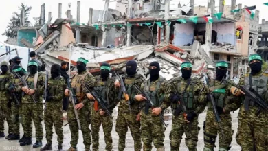 السداد | حماس: الفصائل الفلسطينية توافقت في القاهرة على تطبيق خطة ترامب لغزة