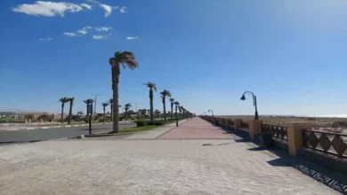 السداد | شديد الحرارة بهذه المناطق.. الأرصاد تكشف حالة الطقس غدًا الاثنين