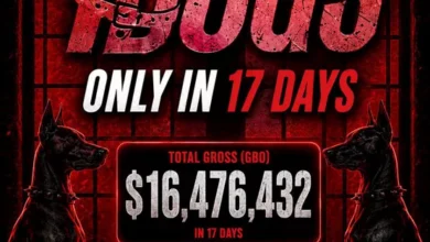 السداد | قبل عرضه عالميا.. إيرادات فيلم Dogs7 تتجاوز 16.4 مليون دولار