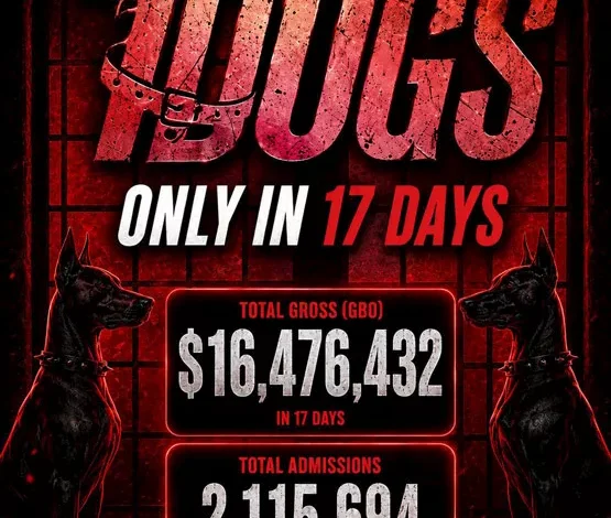 السداد | قبل عرضه عالميا.. إيرادات فيلم Dogs7 تتجاوز 16.4 مليون دولار