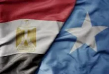 السداد | مصر تؤكد دعم وحدة واستقرار الصومال خلال زيارة رفيعة المستوى إلى مقديشو