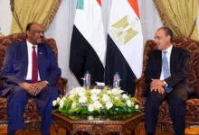 السداد | وزير الخارجية: مصر ترفض الكيانات الموازية وتدعم وحدة السودان