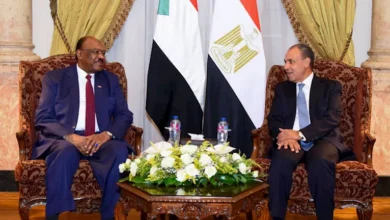 السداد | وزير الخارجية: مصر ترفض الكيانات الموازية وتدعم وحدة السودان