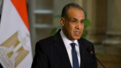 السداد | وزير الخارجية يؤكد تضامن مصر مع لبنان