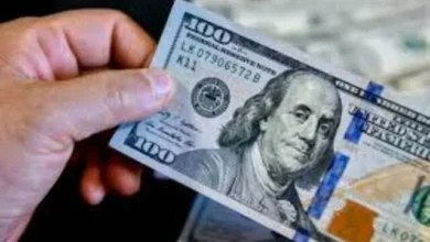 استقرار الدولار في ظل تراجع توقعات الفائدة الأمريكية