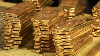 استقرار الذهب بدعم من بيانات الوظائف الأمريكية وتراجع توقعات رفع الفائدة
