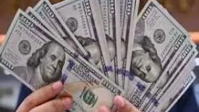 الدولار يحافظ على قوته مع زيادة توقعات رفع أسعار الفائدة