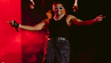 أبرز حفلات صيف 2026: عمرو دياب وإليسا يتألقان في الساحل وقرطاج