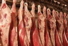 ارتفاع أسعار النفط بعد إعلان خفض الإنتاج من قبل أوبك+
