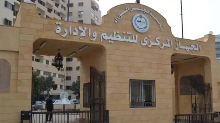 ارتفاع أسعار النفط بعد تخفيضات الإنتاج من أوبك+ وارتفاع الطلب العالمي