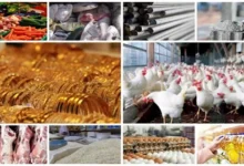 ارتفاع أسعار النفط بعد تقارير عن خفض الإنتاج من أوبك+