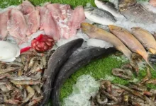 ارتفاع أسعار النفط بعد قرار أوبك+ بتخفيض الإنتاج في نوفمبر