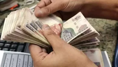 ارتفاع أسعار النفط بعد قرار أوبك+ بخفض الإنتاج في نوفمبر المقبل