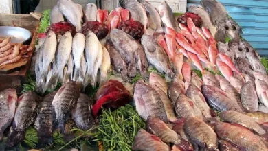 ارتفاع أسعار النفط مع تزايد الطلب العالمي وتوقعات بزيادة الإنتاج في 2024