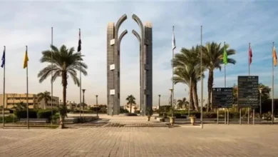 ارتفاع أسعار النفط مع توقعات بتقليص الإنتاج من أوبك+ في 2024