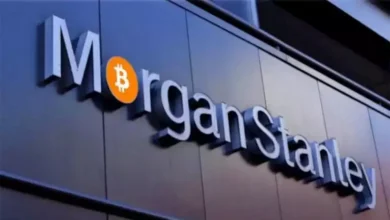 البنك المركزي المصري يثبت سعر الفائدة عند 19.25% في اجتماعه الأخير