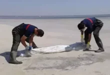 الجيش الإسرائيلي يعلن عن استهداف مواقع لحركة حماس في قطاع غزة
