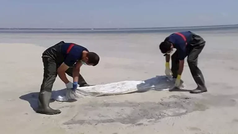 الجيش الإسرائيلي يعلن عن استهداف مواقع لحركة حماس في قطاع غزة