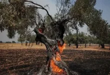 الجيش الإسرائيلي يعلن عن استهداف مواقع في غزة رداً على إطلاق صواريخ نحو الأراضي المحتلة