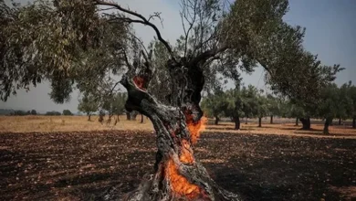 الجيش الإسرائيلي يعلن عن استهداف مواقع في غزة رداً على إطلاق صواريخ نحو الأراضي المحتلة