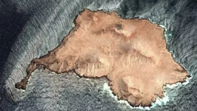 الجيش الإسرائيلي يعلن عن تصعيد العمليات العسكرية في غزة ويستهدف مواقع جديدة