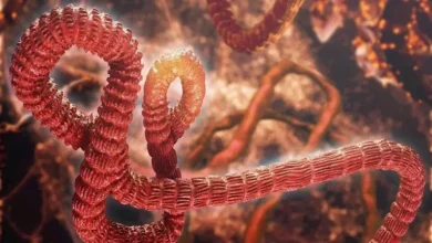 الجيش الإسرائيلي يعلن عن تنفيذ غارات جوية على غزة رداً على إطلاق صواريخ نحو أراضيه