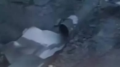 الجيش اللبناني يعلن عن إحباط محاولة تهريب مخدرات عبر الحدود مع سوريا