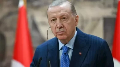 الجيش يعلن عن مقتل 15 مسلحًا في عملية عسكرية بشمال سيناء